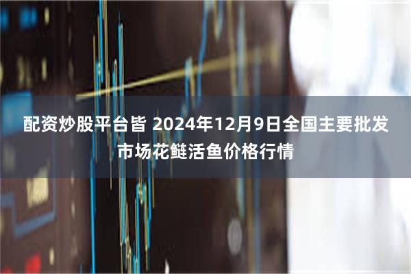 配资炒股平台皆 2024年12月9日全国主要批发市场花鲢活鱼价格行情