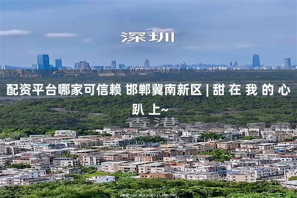 配资平台哪家可信赖 邯郸冀南新区 | 甜 在 我 的 心 趴 上~