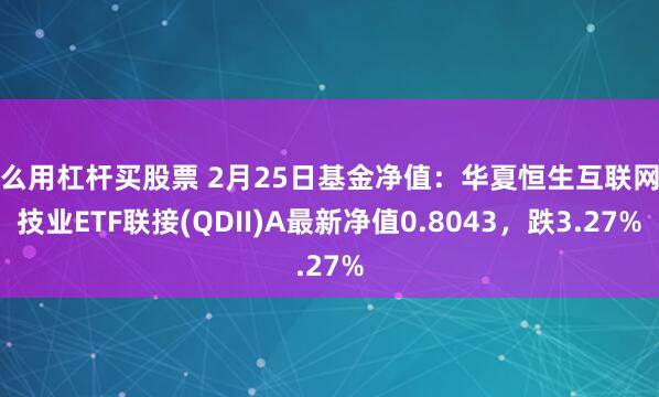 怎么用杠杆买股票 2月25日基金净值：华夏恒生互联网科技业ETF联接(QDII)A最新净值0.8043，跌3.27%