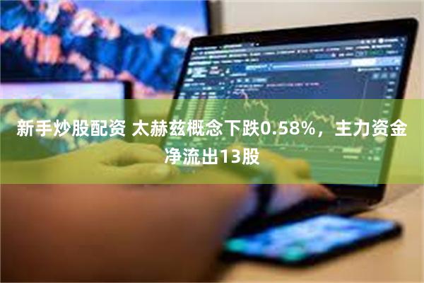 新手炒股配资 太赫兹概念下跌0.58%，主力资金净流出13股